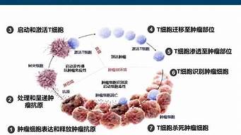 设计灵感 第5页